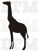 /album/ostatne-zvierata/ostatne-zvierata-4-jpg/